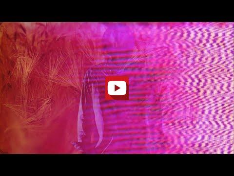 Imagen v&iacute;deo