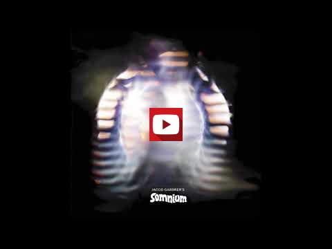 Imagen v&iacute;deo