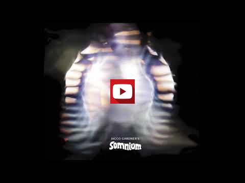 Imagen v&iacute;deo