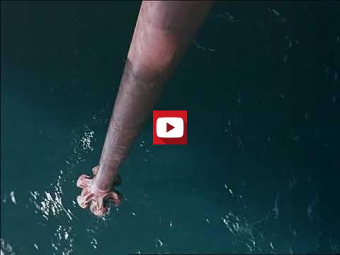 Imagen v&iacute;deo