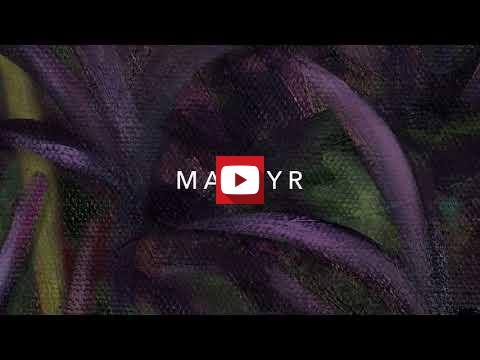Imagen v&iacute;deo