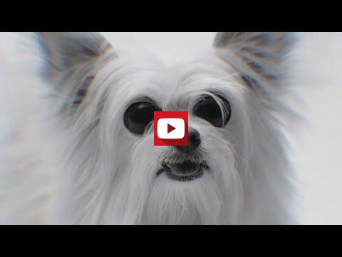 Imagen v&iacute;deo