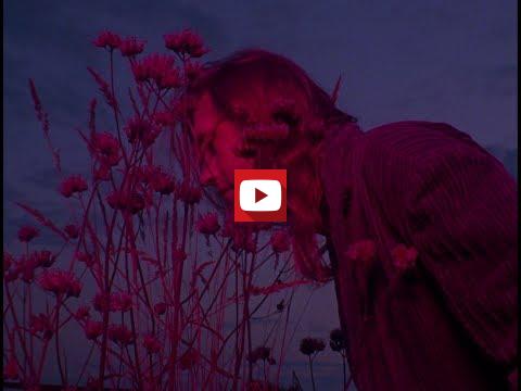 Imagen v&iacute;deo