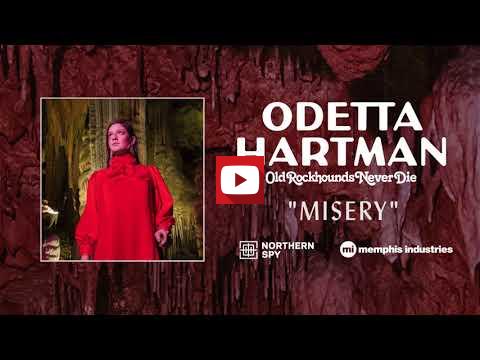 Imagen v&iacute;deo