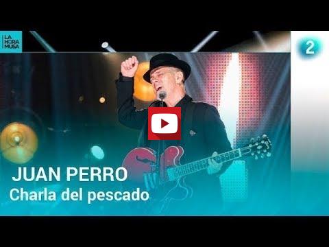 Imagen v&iacute;deo