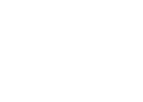 Logo Houston Party