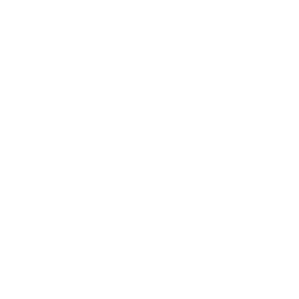 Houston Party